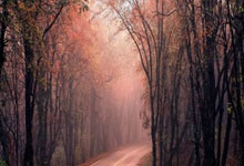 21-22賽季西甲聯賽第17輪比賽集錦.