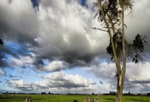 fun88乐天堂官方网站：[NBA]亚历山大持球突破 飞身扣篮终结比赛.