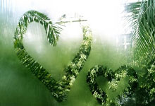 阿森納宣布球隊與奧巴梅揚完成續約 新合同至2023年.